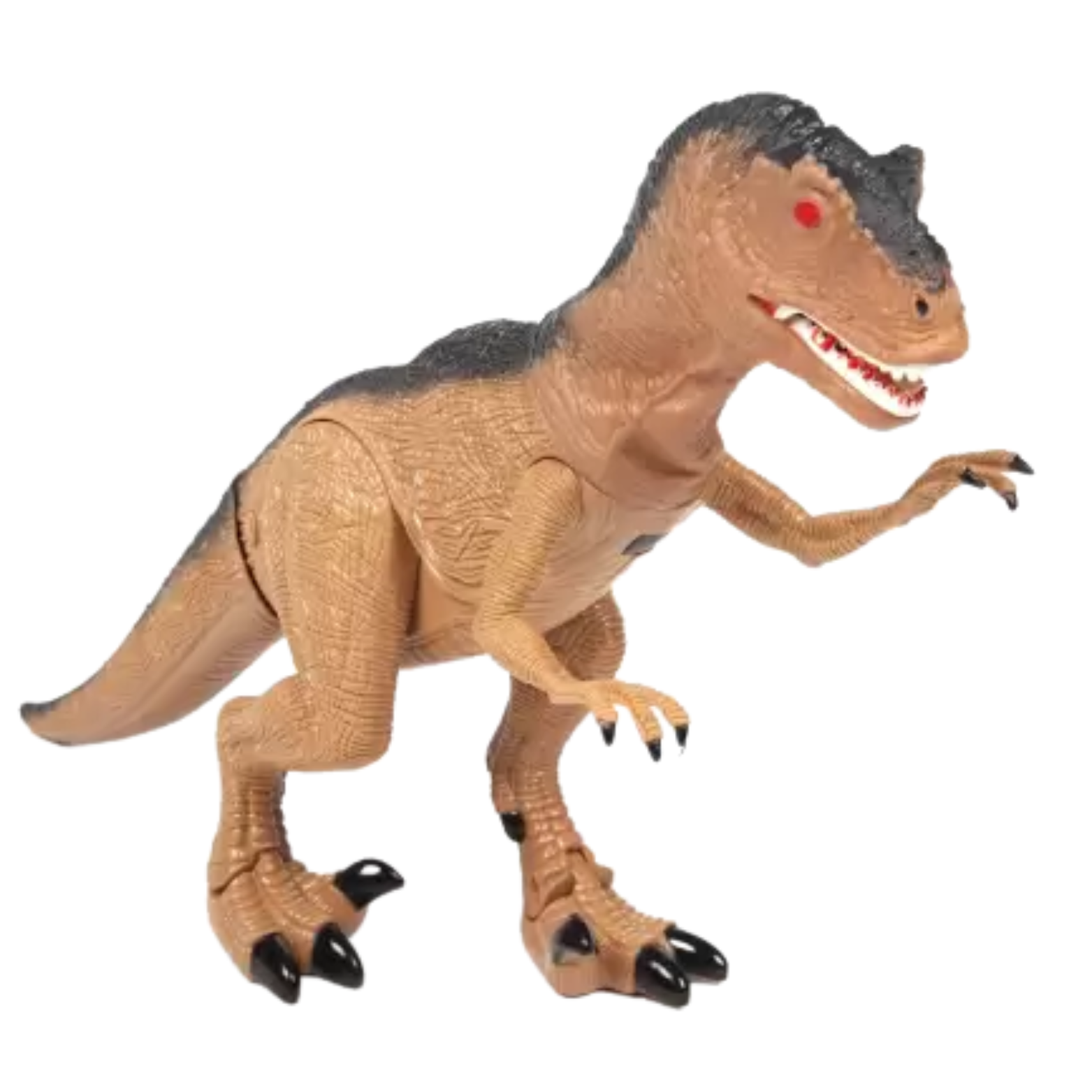 0565396bd24c2faa59b43b68cebf36a1