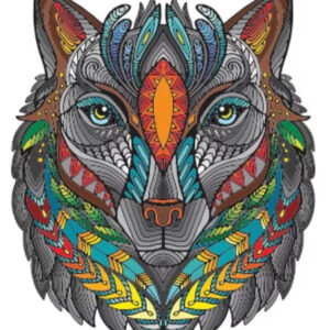 3b89d3216dfd2c3d2e727e772a93038d