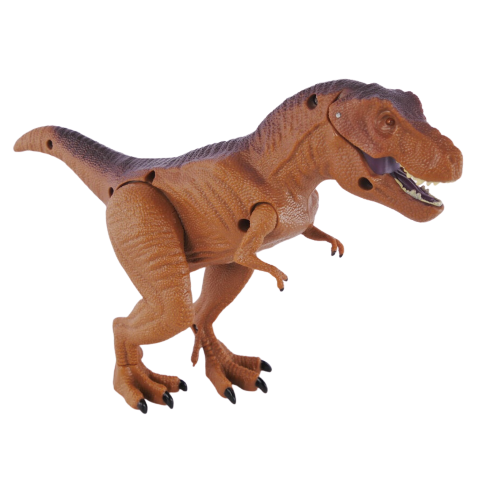 58543d681d200cf00be4d63928639326