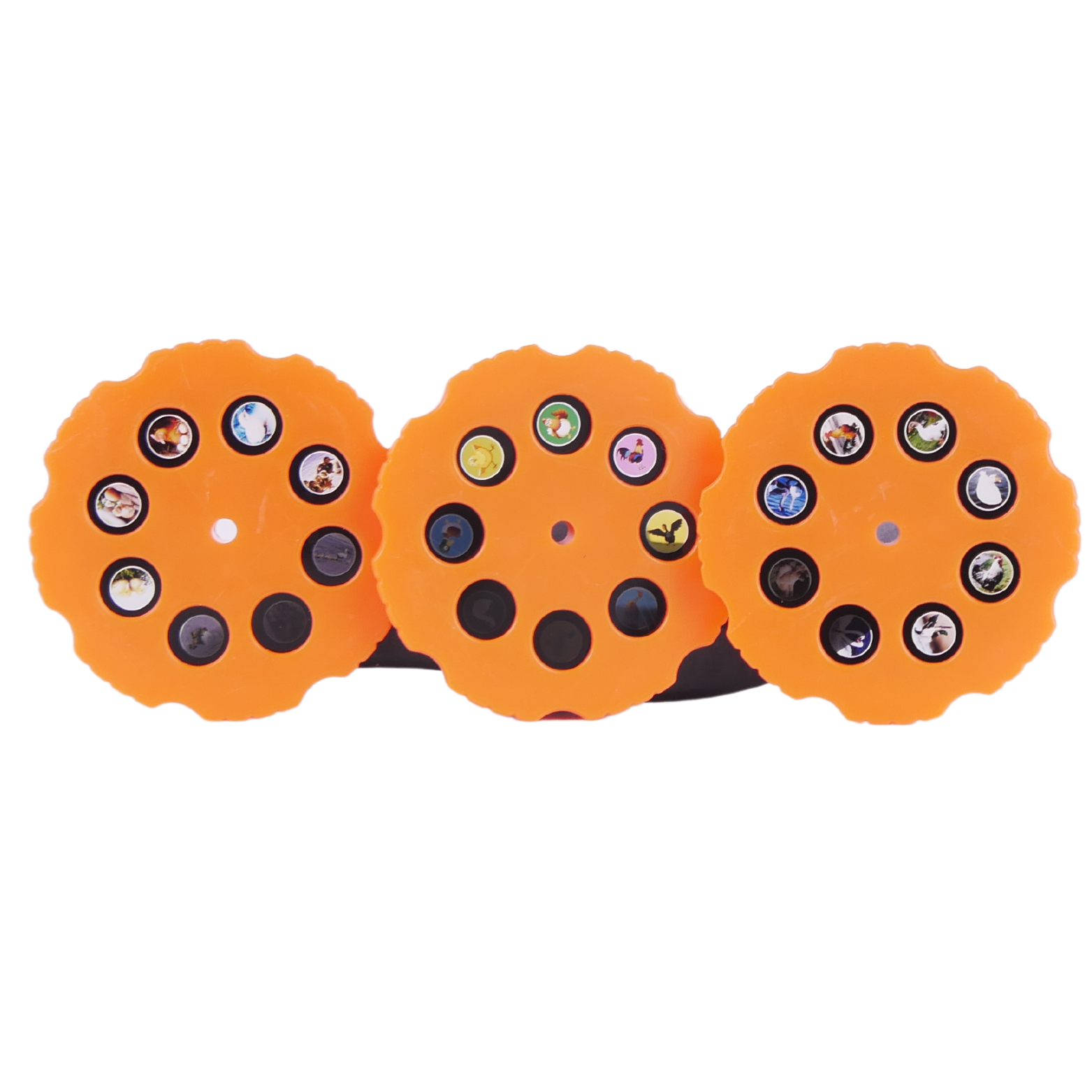 4238da882988335930a867550b187cc7