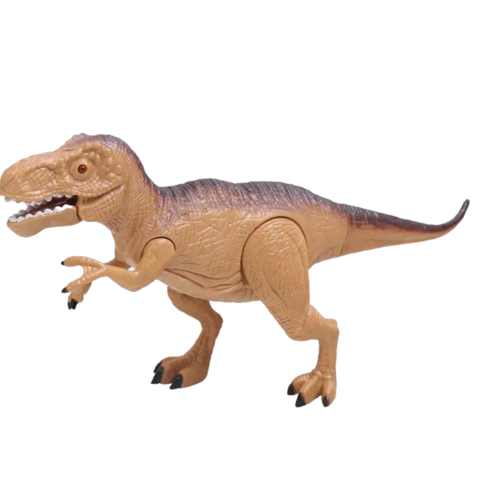 e38c2fb2abab2adcbfbad211b3a7a76d